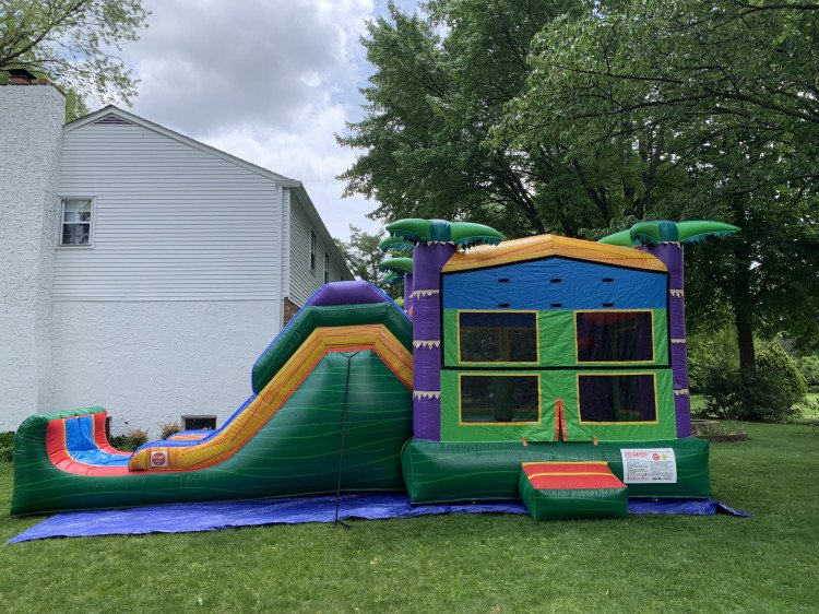 Tropical bounce house combo